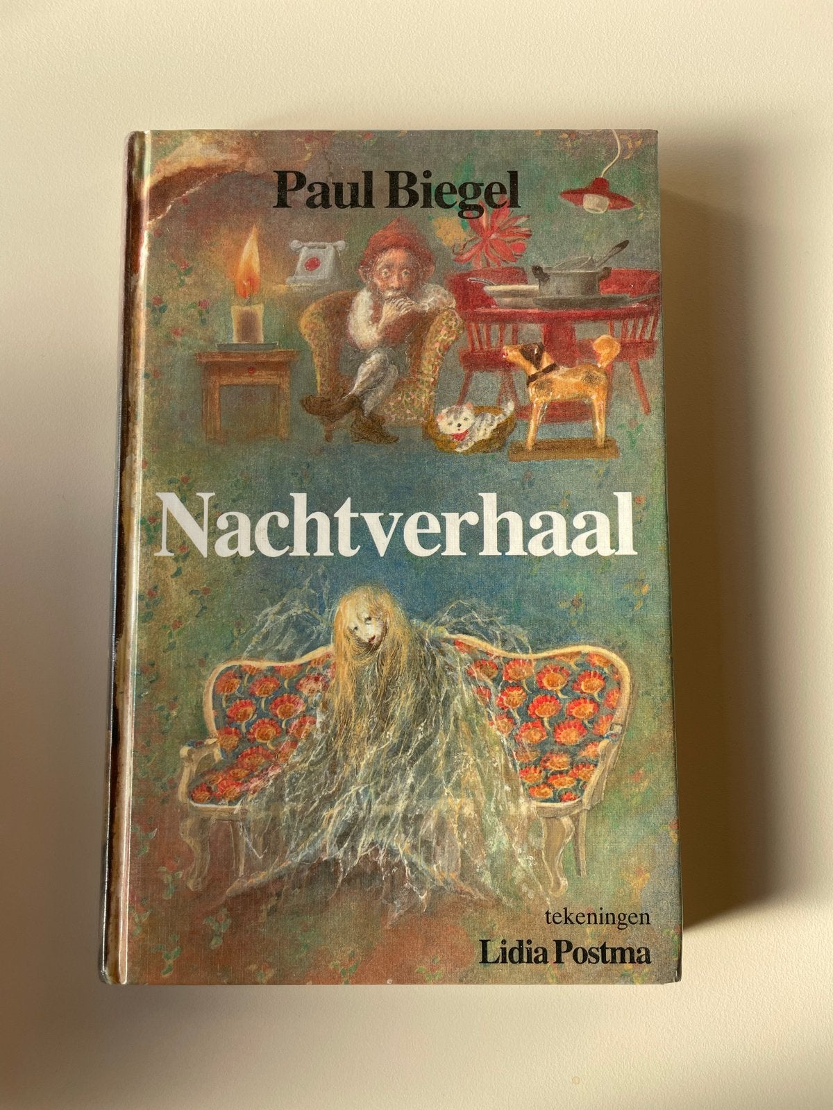 Nachtverhaal - Paul Biegel (Hardcover), Ophalen of Verzenden, Zo goed als nieuw, Sprookjes