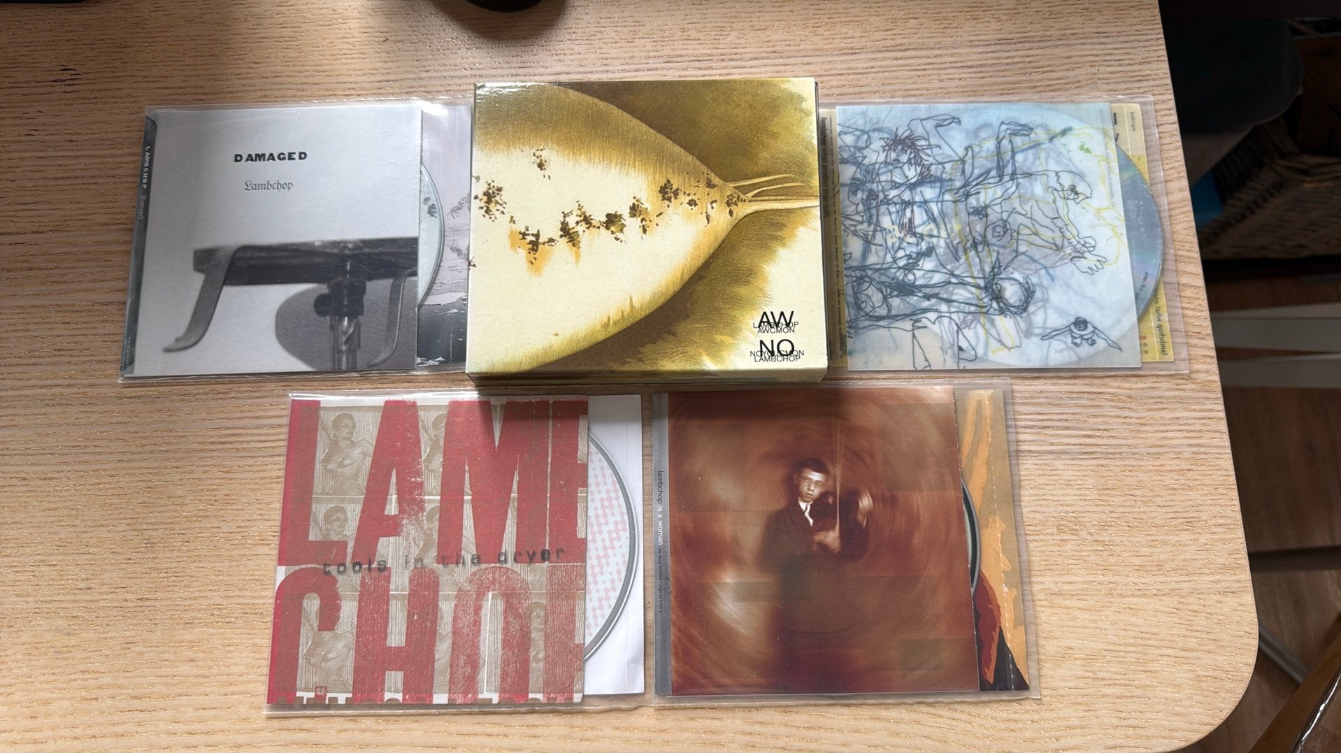 5 CD albums van Lambchop oa Damaged en How I quit Smoking, Ophalen of Verzenden, Zo goed als nieuw