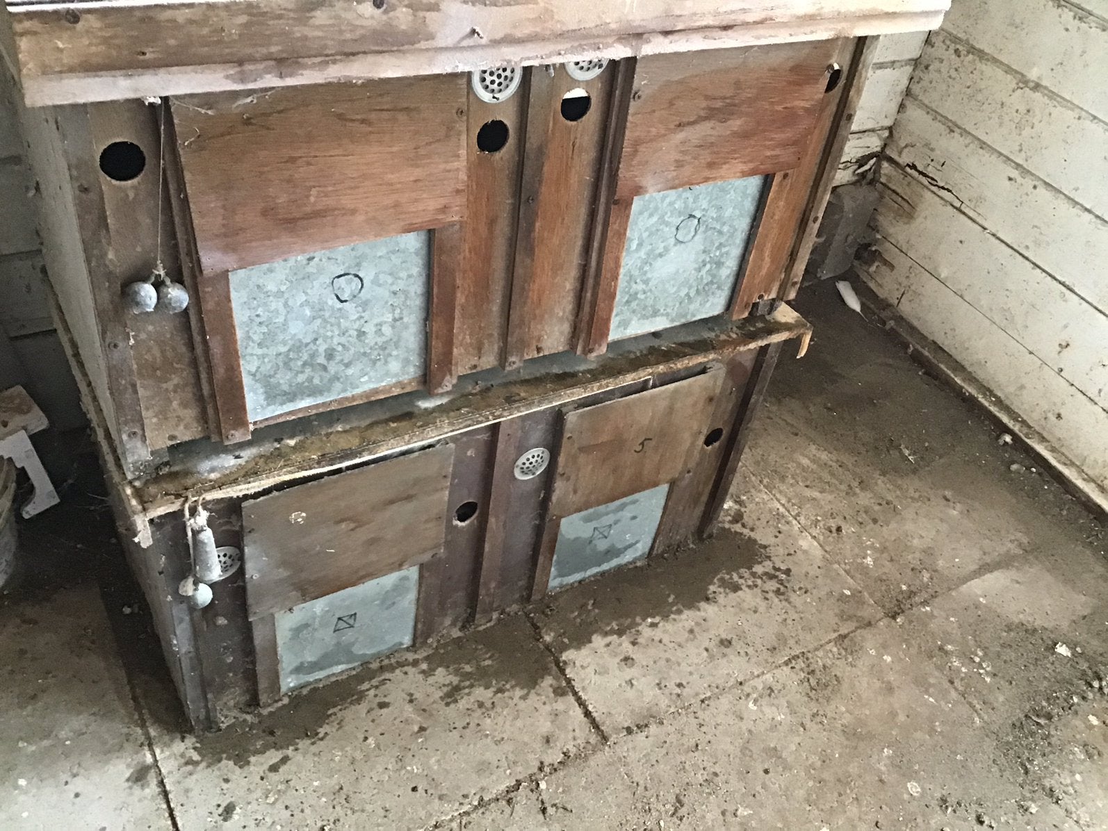 Te koop donkerhokken, Dieren en Toebehoren, Ophalen, Gebruikt, Hout, Overige typen