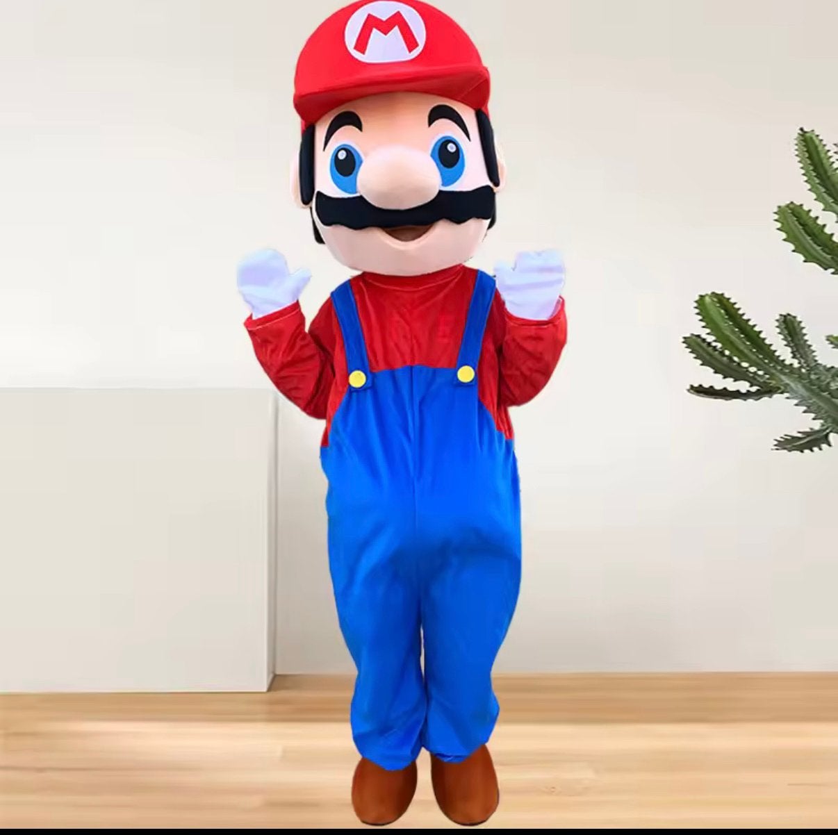 Mario pak te huur, Ophalen, Zo goed als nieuw