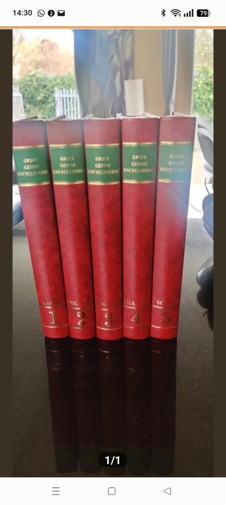 Grote Gezinsenyclopedie, Boeken, Encyclopedieën, Ophalen of Verzenden