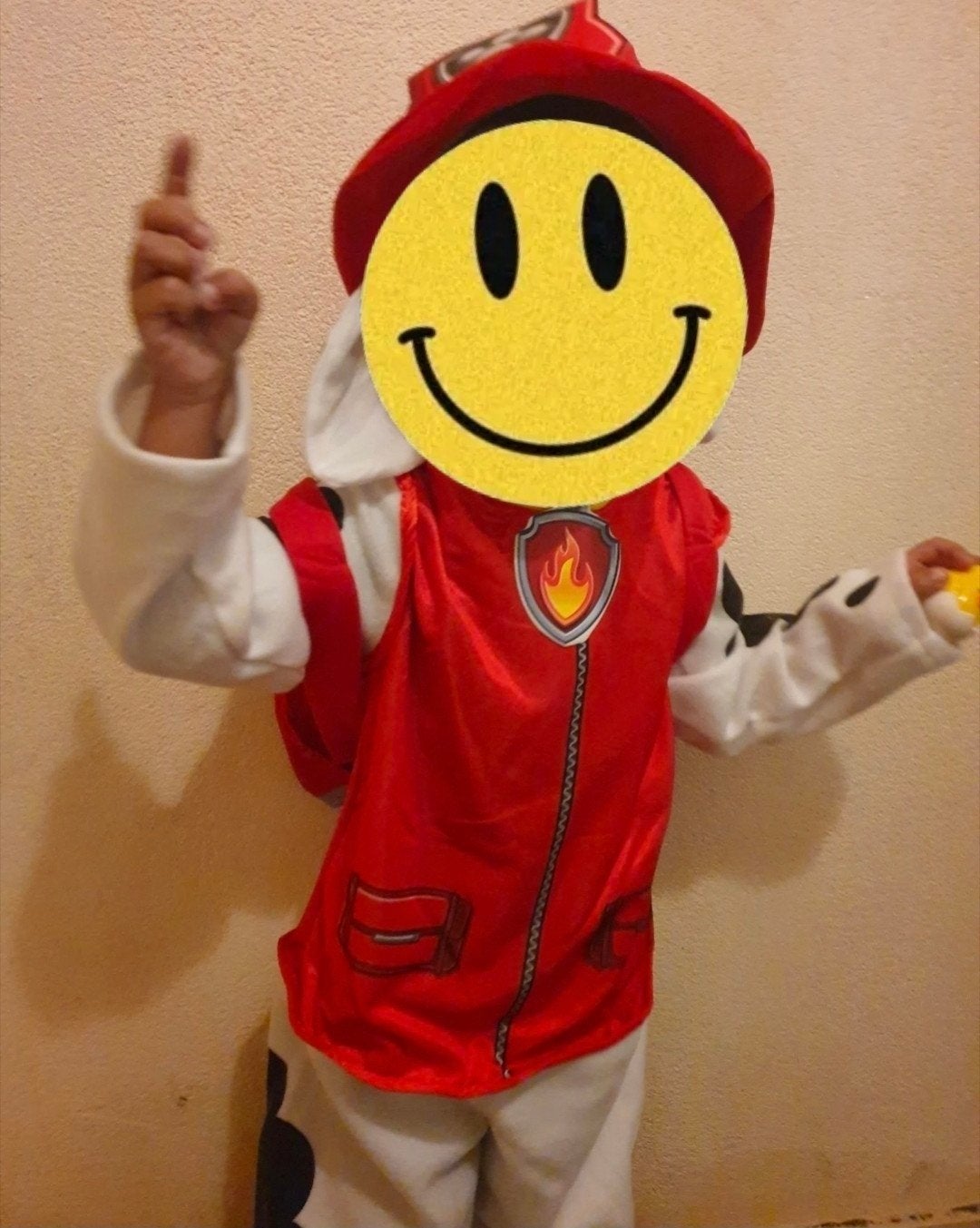 Paw Patrol Marshall Kostuum Maat S (5-7 jaar), Kinderen en Baby's, Carnavalskleding en Verkleedspullen, Ophalen of Verzenden, Zo goed als nieuw
