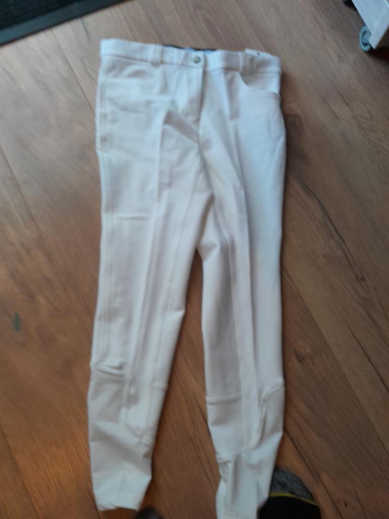 Zenna witte rijbroek 44, Dieren en Toebehoren, Ophalen of Verzenden, Dressuur, Onderkleding