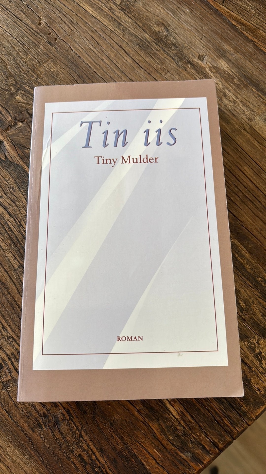 T. Mulder - Tin iis, Ophalen of Verzenden, Zo goed als nieuw, T. Mulder
