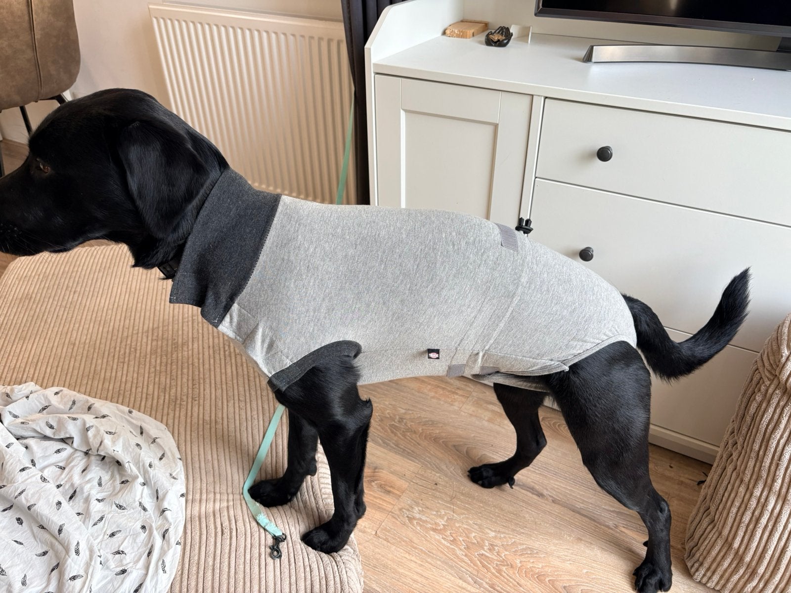 Honden operatie jasje TRIXIE, Dieren en Toebehoren, Ophalen of Verzenden, Zo goed als nieuw, Hondenjas