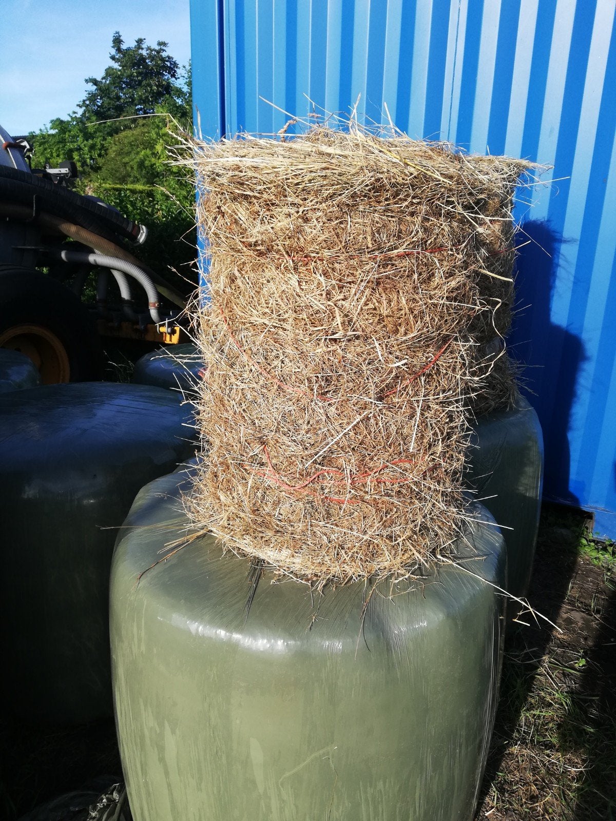 Ronde baaltjes hooi/paardenhooi. Minibalen, Dieren en Toebehoren, Ophalen, Vee