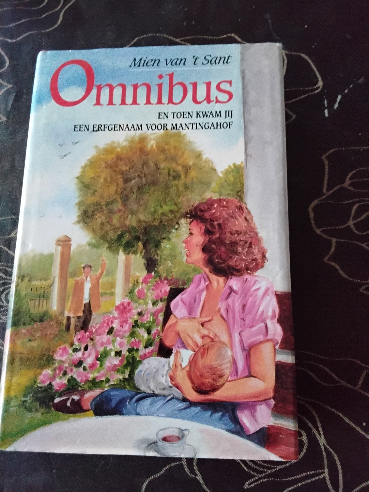 Omnibus Mien van 't Sant - En toen kwam jij & Erfgenaam, Ophalen of Verzenden, Gelezen, Mien van 't Sant, Nederland