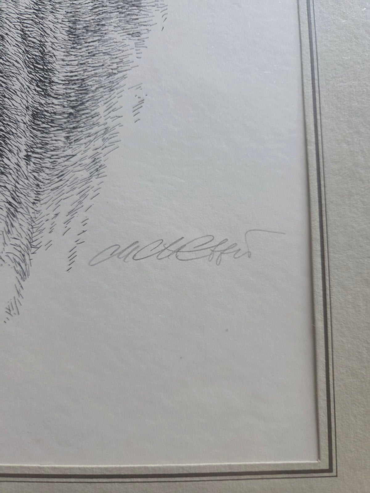 Ingelijste pentekening van een windhond, Verzamelen, Ophalen of Verzenden, Gebruikt, Hond of Kat, Overige typen