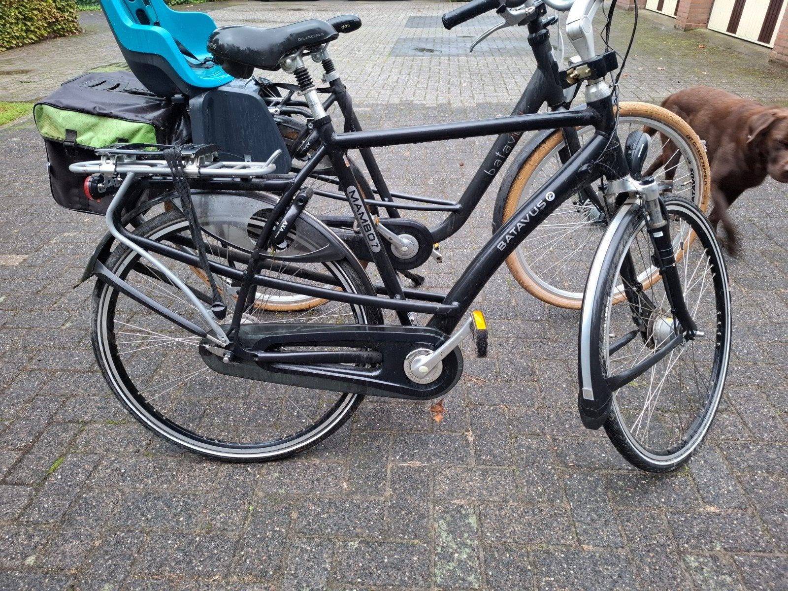 Batavus Mambo 7  Dames en Heren fiets mooi setje, Fietsen en Brommers, Ophalen, (Extra) lage instap, Batavus, 56 cm of meer