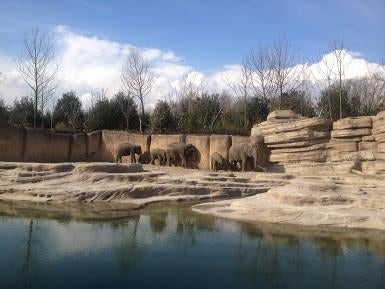 € 5,00 korting pp WILDLANDS Adventure Zoo Emmen (max 5 pers), Drie personen of meer, Kortingskaart
