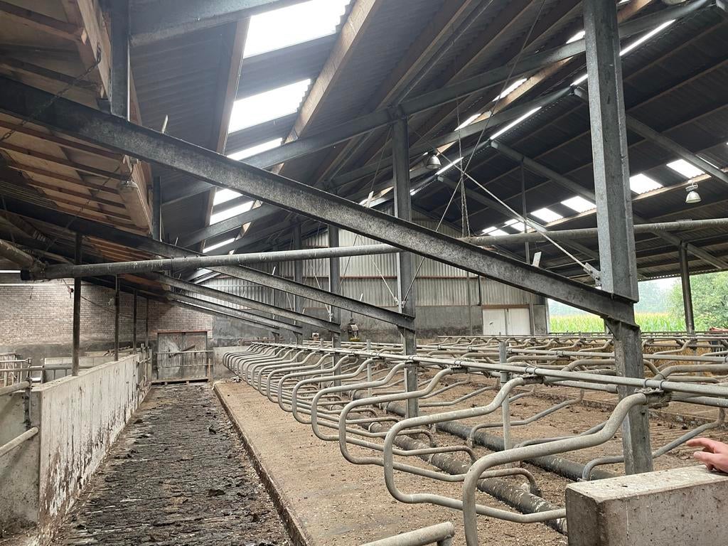 Complete stalinrichting ligboxen Wopereis, Dieren en Toebehoren, Stalling en Weidegang, Toebehoren