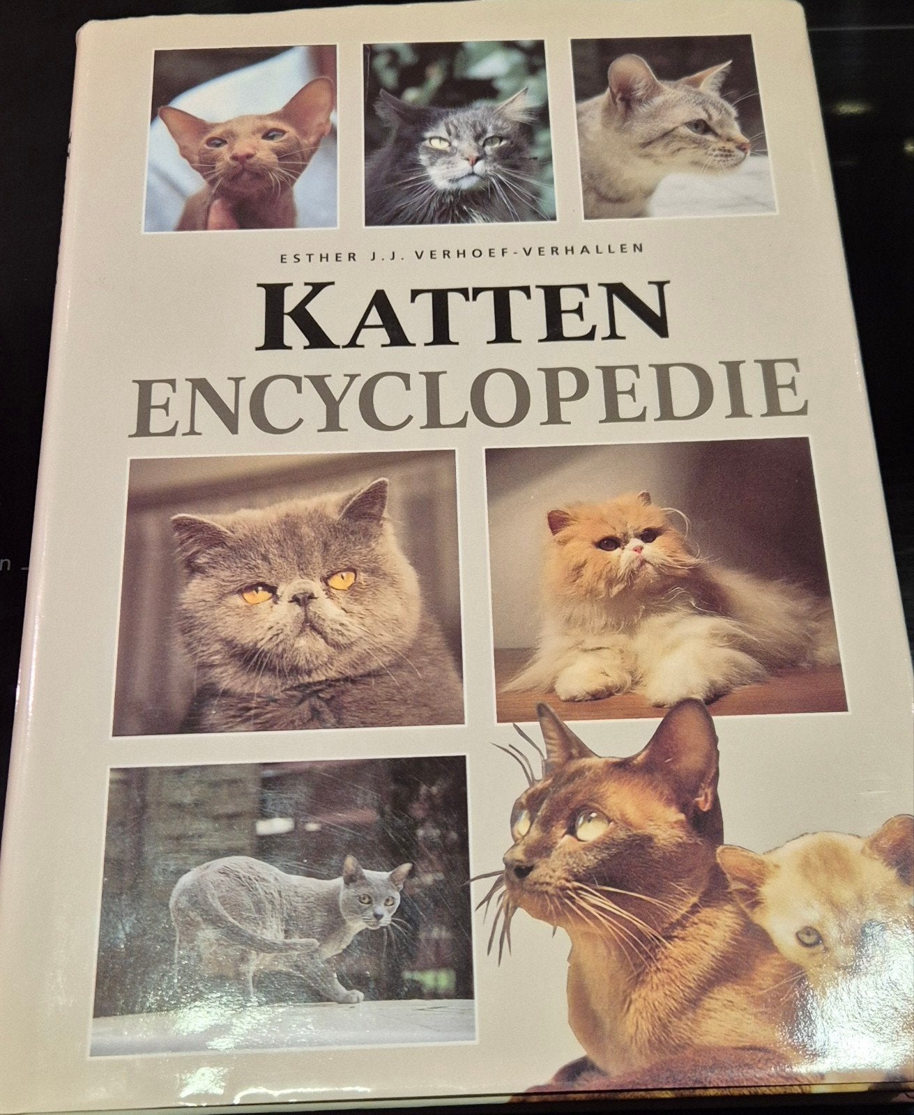 Katten Encyclopedie - Esther J.J. Verhoef-Verhallen, Boeken, Gelezen, Esther J.J. Verhoef-Verhallen, Ophalen of Verzenden, Los deel