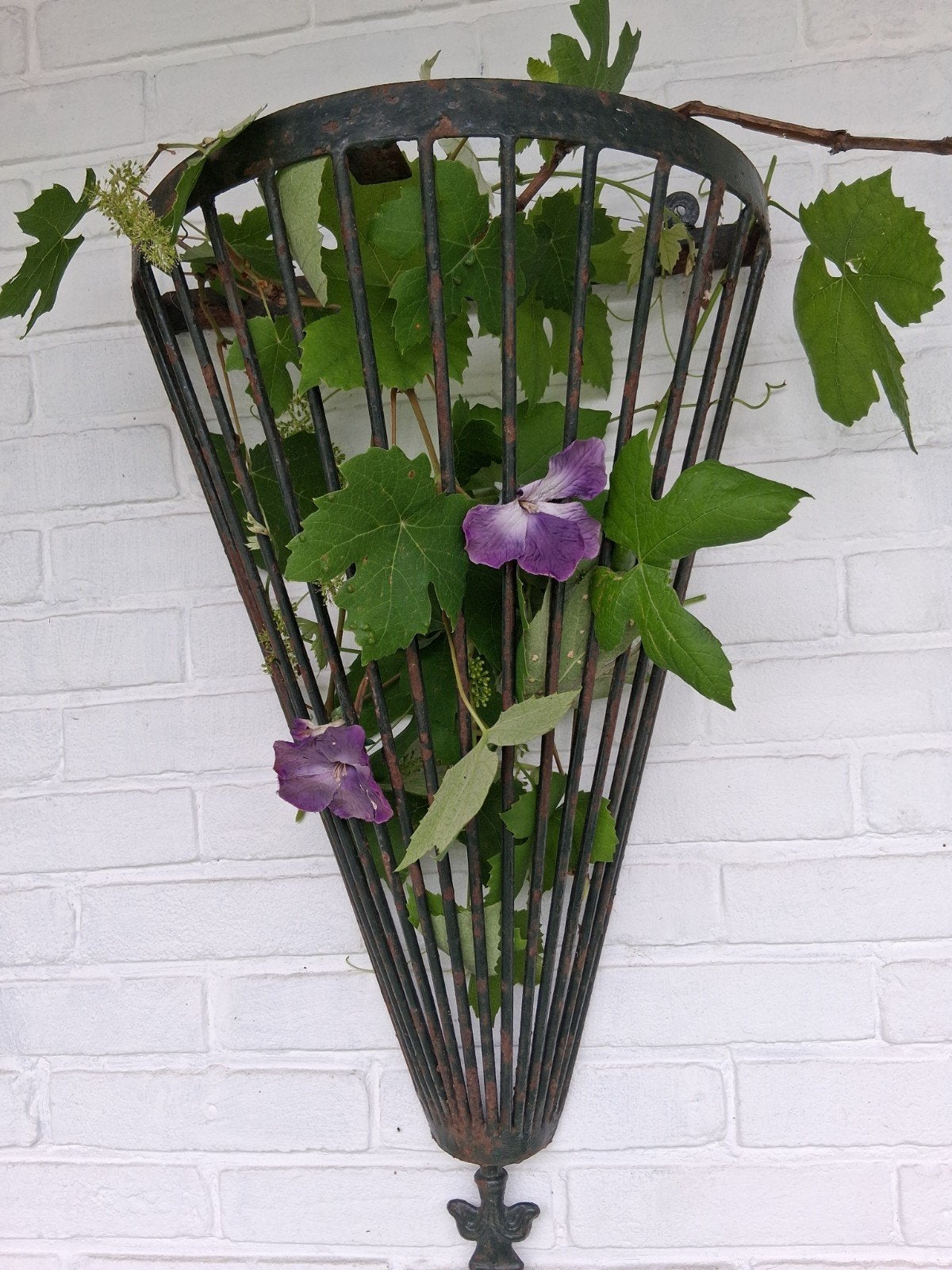 Antieke ijzeren wandhanger voor planten, Ophalen of Verzenden