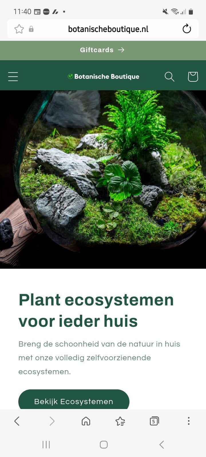 Webshop te koop eigenlijk gratis, Ophalen of Verzenden, Overige soorten, Halfschaduw, Minder dan 100 cm