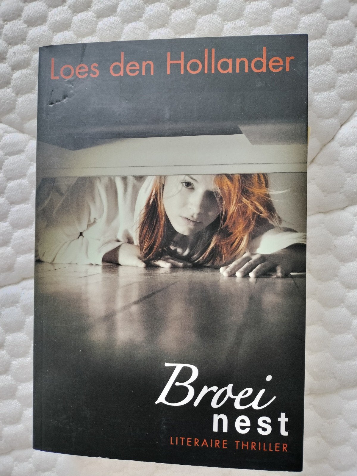 Broeinest - Loes den Hollander (Thriller, Familiedrama), Boeken, Ophalen of Verzenden