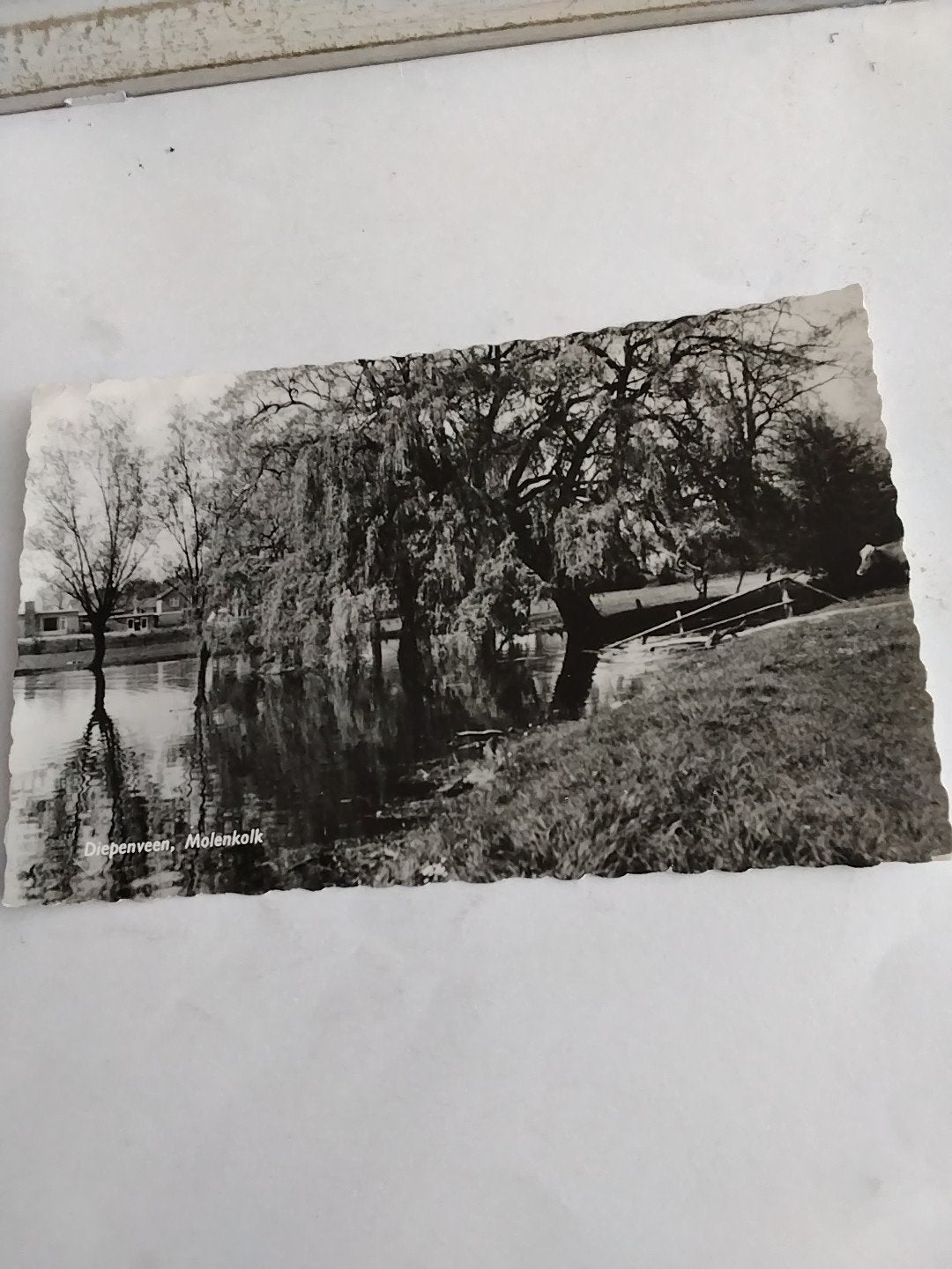 DIEPENVEEN. MOLENKOLK, Ophalen of Verzenden, Voor 1920, Zuid-Holland