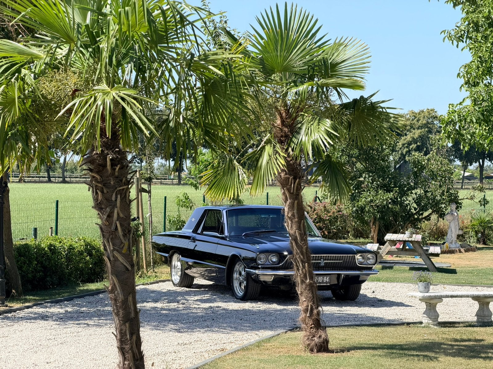 Thunderbird 1966 6,4 liter V8 automaat op Lpg belastingvrij, foto 6