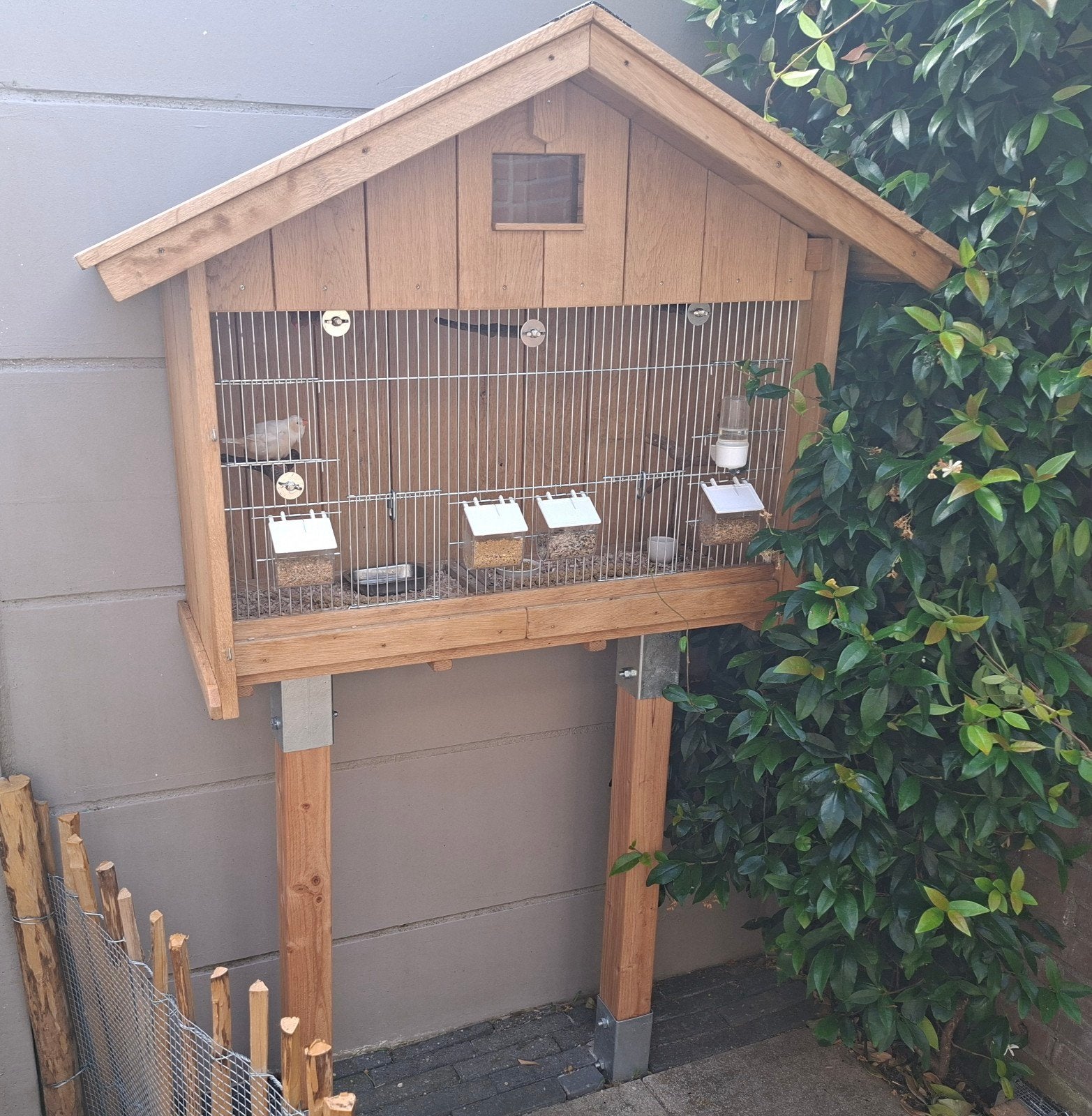 Prachtig eiken vogelhok, Dieren en Toebehoren, Ophalen, Zo goed als nieuw, Hout, Volière