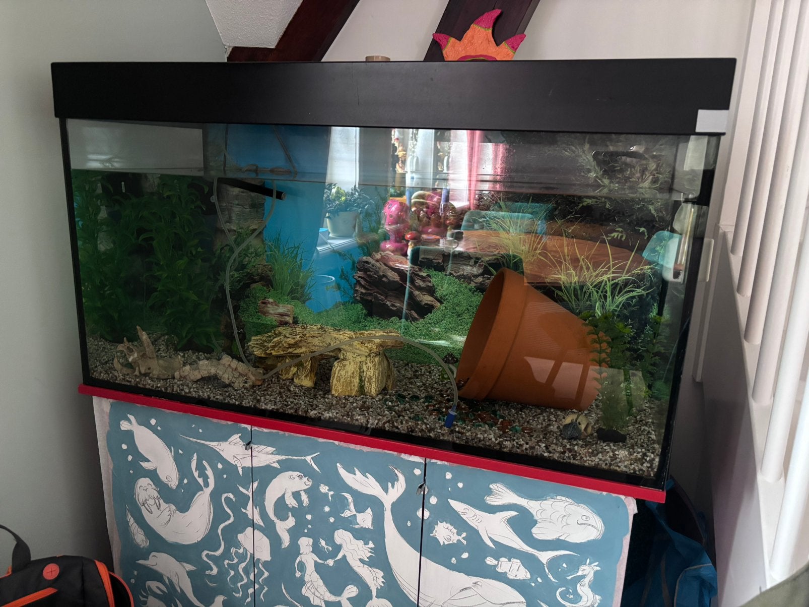 Gratis aquarium af te halen (ZIE BESCHRIJVING!), Ophalen, Gebruikt