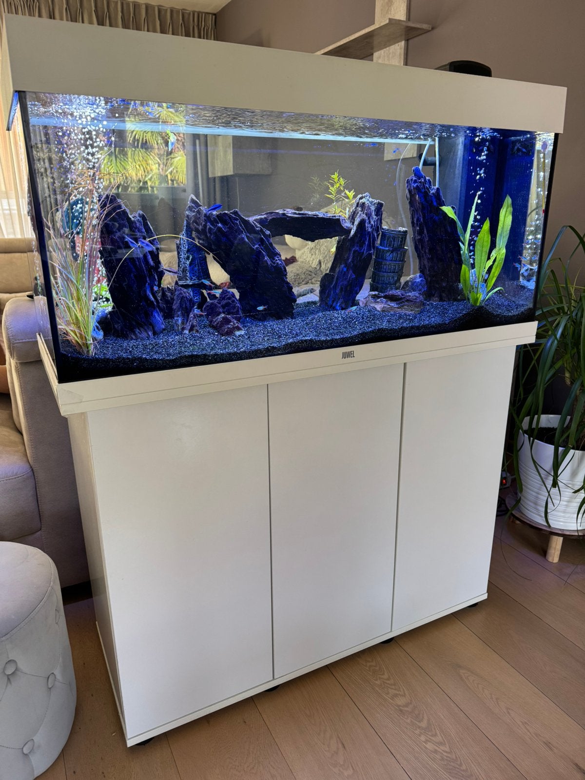 Juwel Rio 180 aquarium + wit meubel – compleet met extra’s, Ophalen, Gebruikt, Inclusief vissen, Gevuld zoetwateraquarium