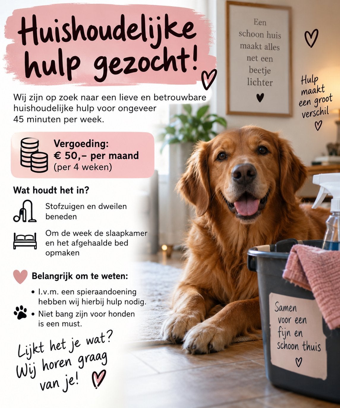 GEZOCHT: schoonmaakster, wekelijks, kleine klus., Variabele uren, Overige niveaus, Starter, Overige vormen