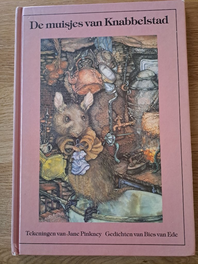 DE MUISJES VAN KNABBELSTAD. BIES VAN EDE., Boeken, Gelezen, Fictie algemeen, Jongen of Meisje, Bies van Ede