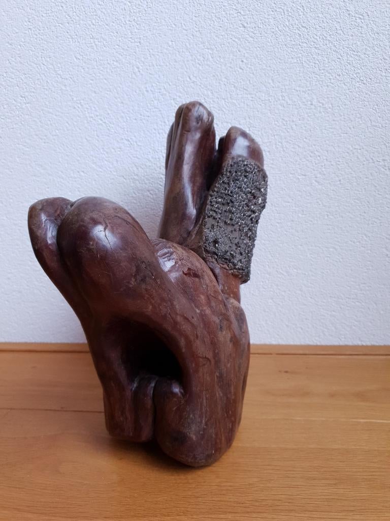 Houten beeld van boomstronk, Antiek en Kunst, Kunst | Beelden en Houtsnijwerken, Ophalen, 20 - 50 cm, Bruin, Abstract