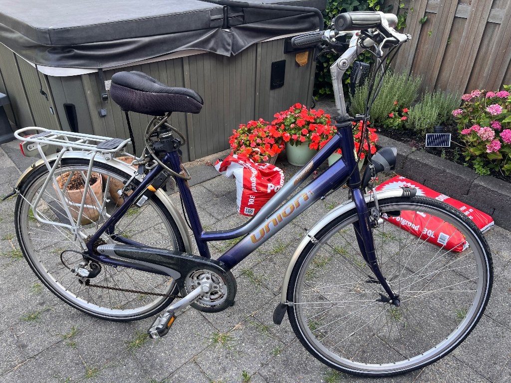 Union Goldrun damesfiets, Fietsen en Brommers, Gebruikt, Velgrem, Versnellingen, Ophalen