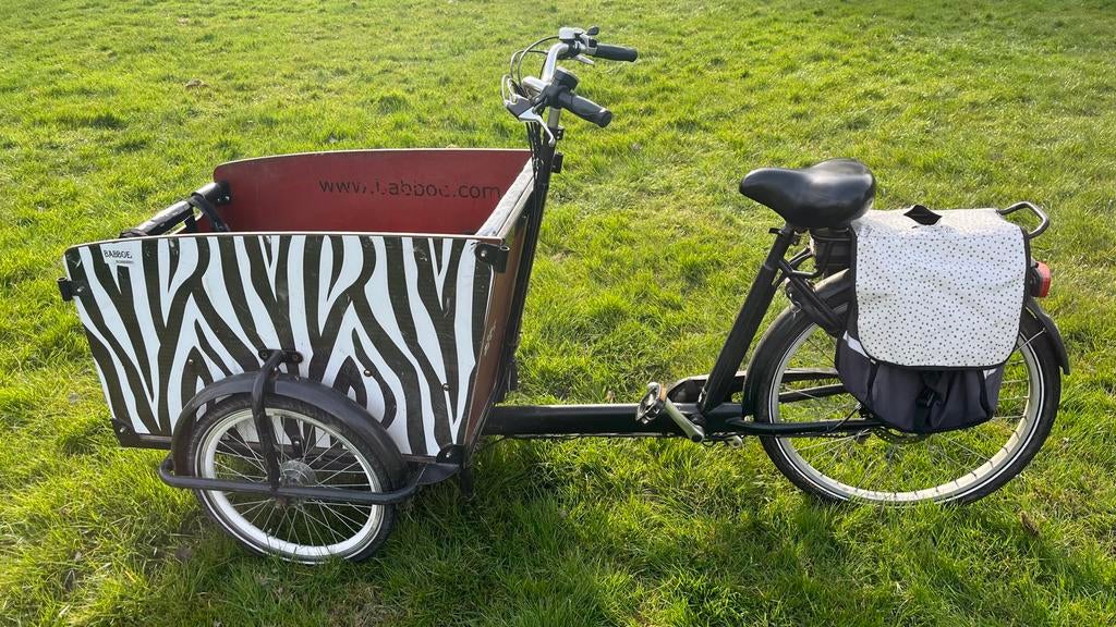 Goed lezen! Babboe Big Bakfiets elektrisch, Fietsen en Brommers, 4 kinderen of meer, Gebruikt, Elektrisch, Ophalen