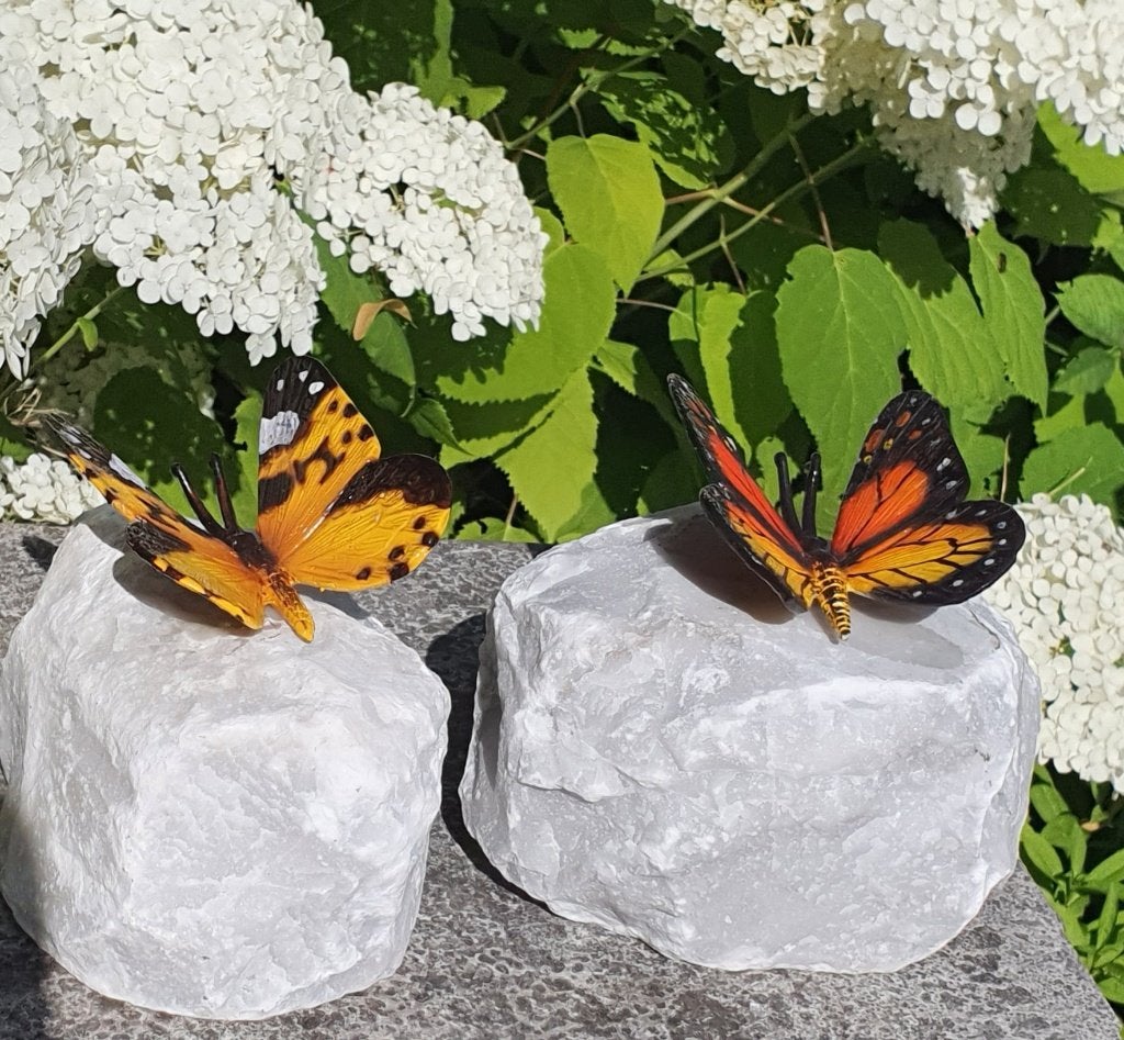 VLINDER OP NATUURSTEEN / grafdecoratie, Nieuw, Info@huisentuindecoratiemarie.nl, Huis en tuin decoratie marie, Dierenbeeld