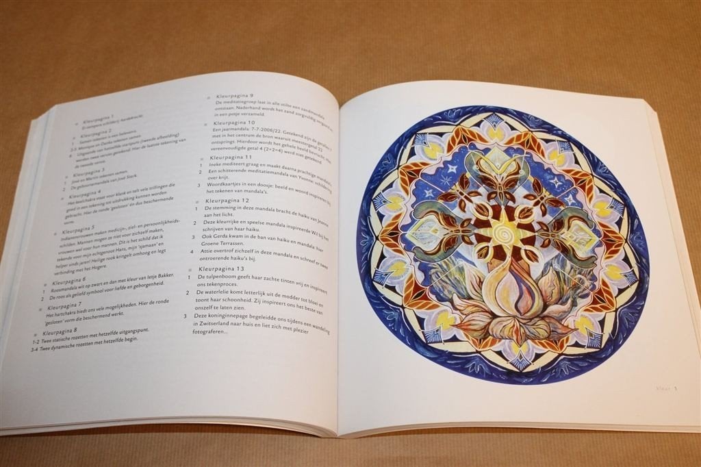 De Mandala als Helend Beeld — Gesch, Tekenen & Betekenis, Boeken, Ophalen of Verzenden, Gelezen, Overige onderwerpen, Achtergrond en Informatie