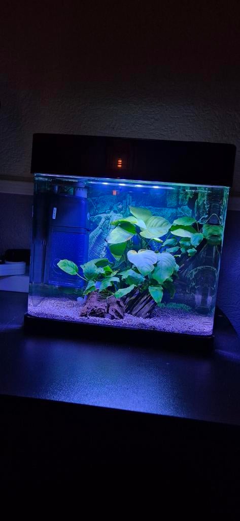 Superfish panorama 20 led(leeg), Dieren en Toebehoren, Vissen | Aquaria en Toebehoren, Ophalen, Zo goed als nieuw, Leeg aquarium