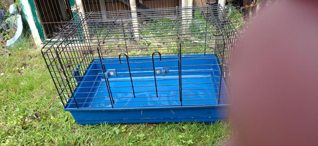 Knaagdierhokje, Dieren en Toebehoren, Minder dan 75 cm, Ophalen, Minder dan 60 cm, Hok