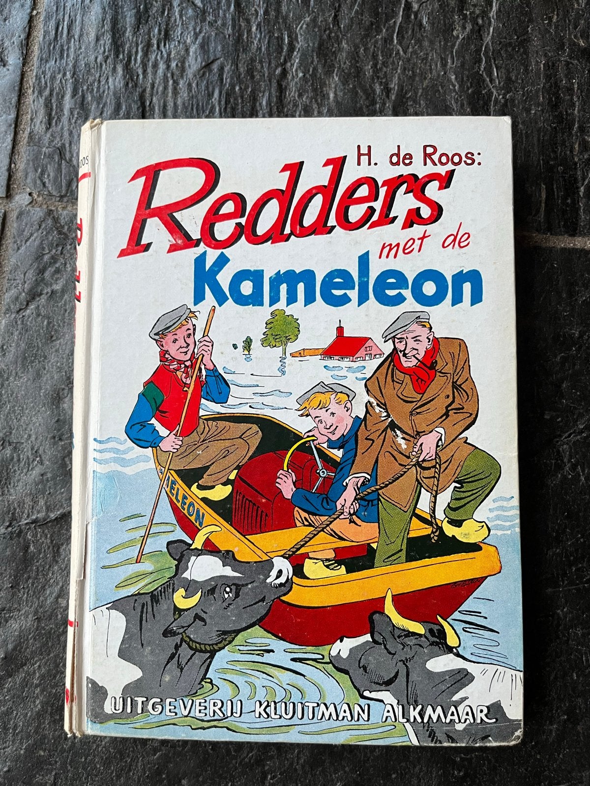 Redders met de Kameleon - H. de Roos (Zonnebloem Serie), Ophalen of Verzenden, Gelezen, Fictie algemeen
