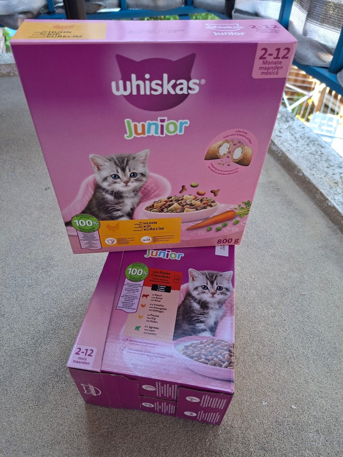 Voor de kleine kittens, Ophalen, Kat