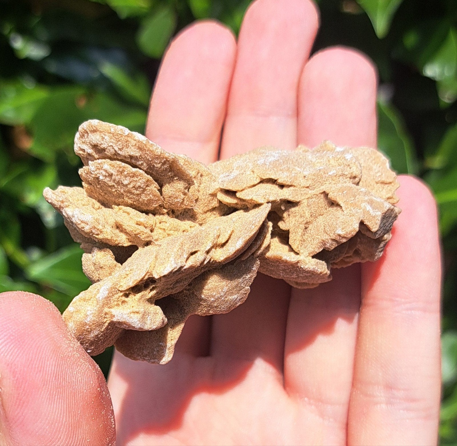 Woestijnroos natuursteen zandroos edelstenen verzameling, Ophalen of Verzenden
