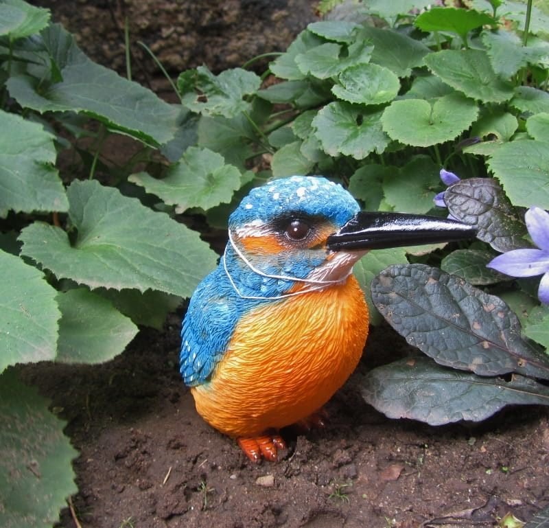 IJSVOGELTJE - THE BEAUTY....(XS), Verzenden, Nieuw