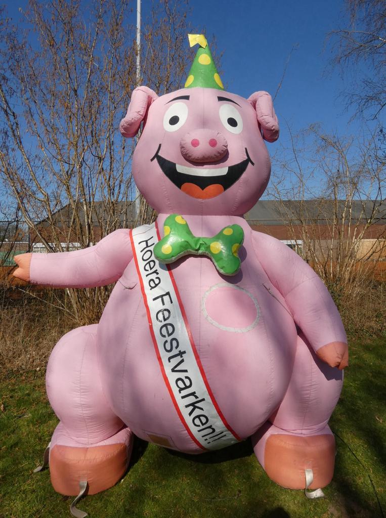 Te Huur Feestvarken, Ophalen, Zo goed als nieuw, Abraham of Sarah