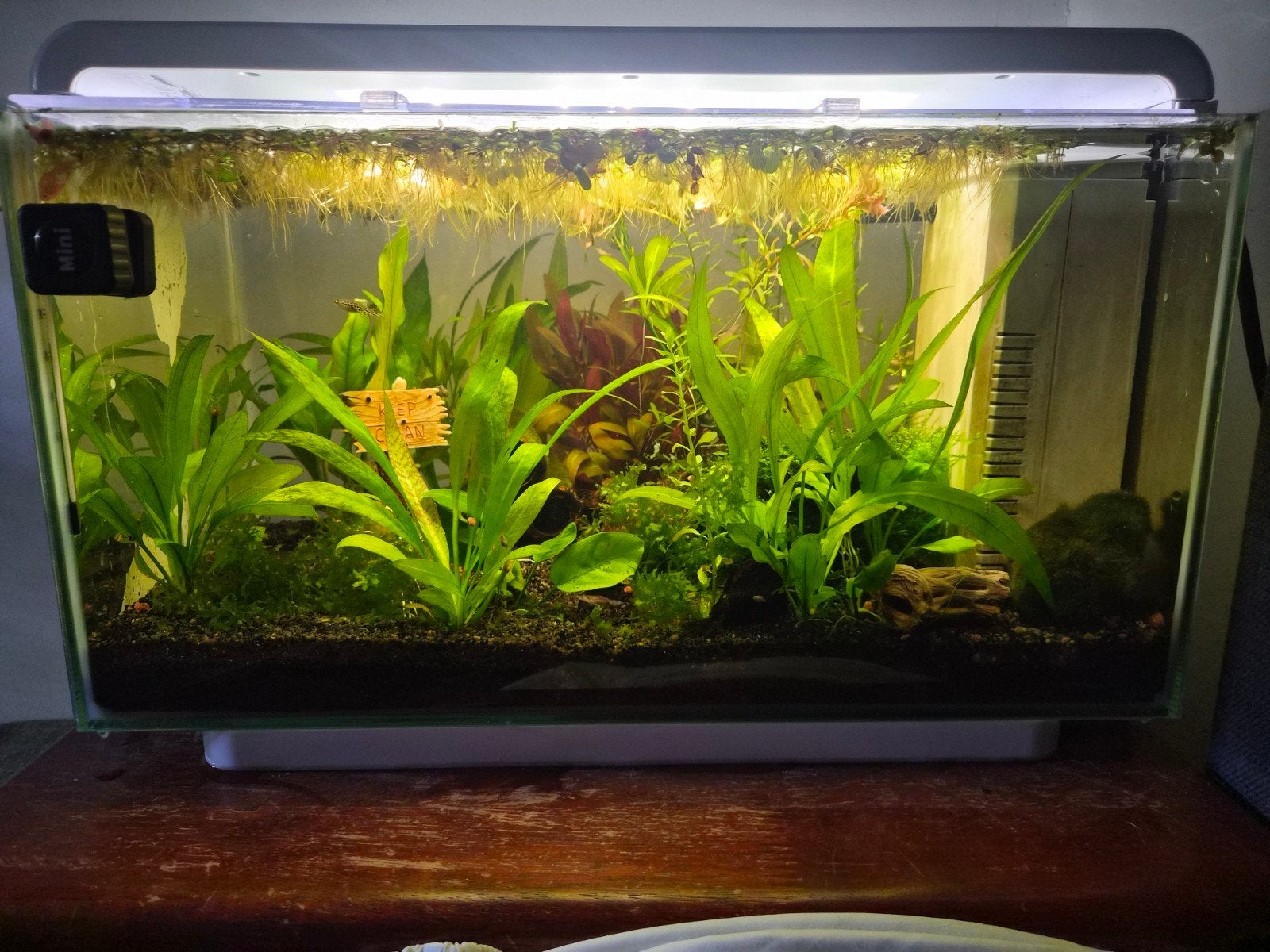 Superfish home 30, Dieren en Toebehoren, Vissen | Aquaria en Toebehoren, Ophalen of Verzenden, Leeg aquarium