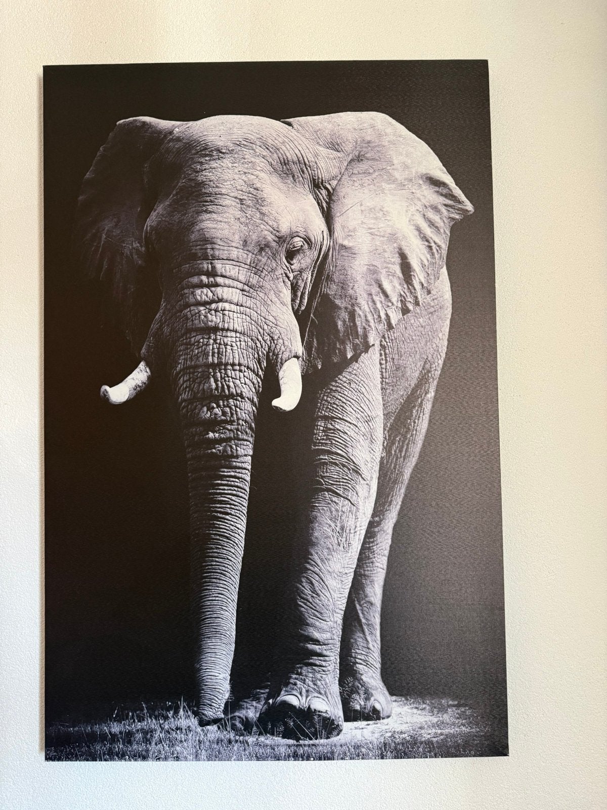 Olifanten muurschilderij, Ophalen, Gebruikt, Foto of Poster