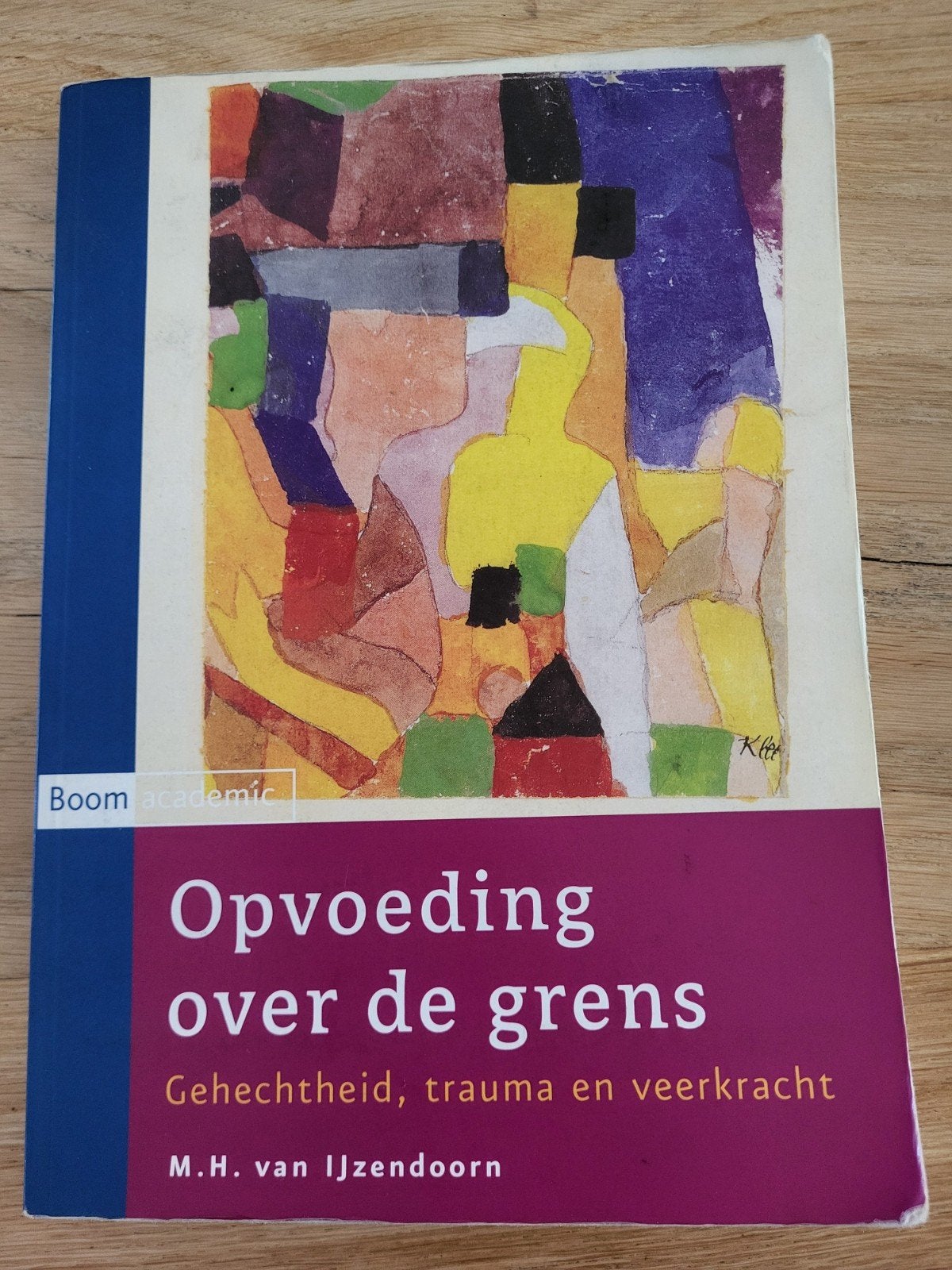 Opvoeding over de grens - gehechtheid, trauma en veerkracht, Boeken, Sociale psychologie, M.H. van IJzendoorn, Ophalen, Gelezen