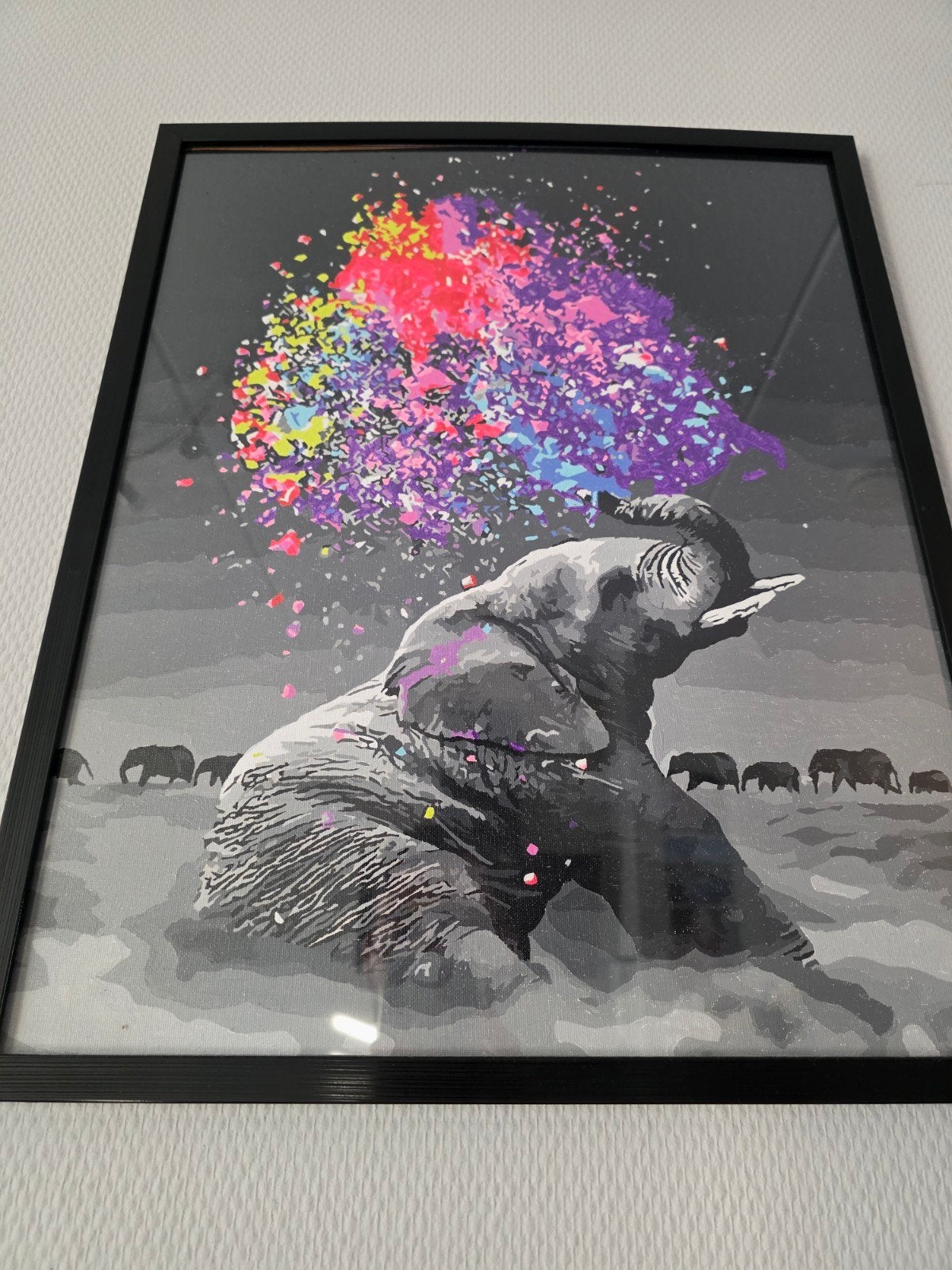 Handgeschilderd schilderij: Olifant met kleurrijke explosie, Ophalen
