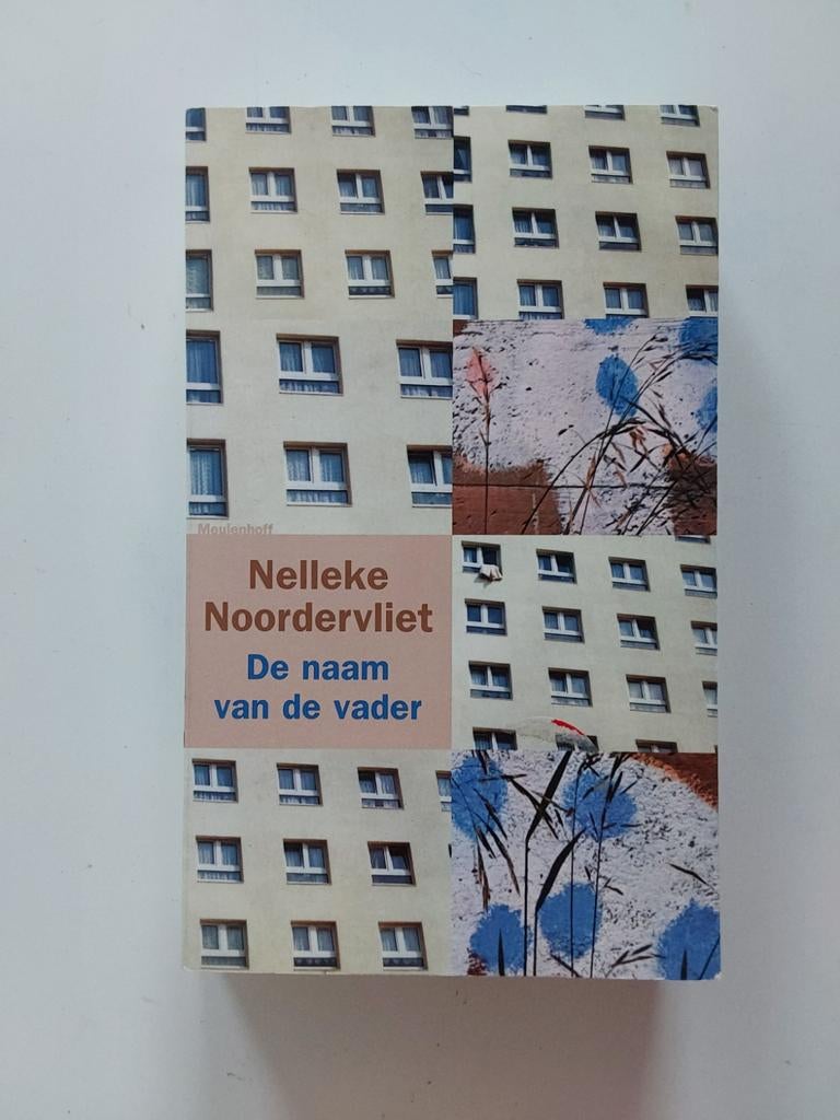 Nelleke Noordervliet : De naam van de vader, Zo goed als nieuw, Nederland, Nelleke Noordervliet, Ophalen of Verzenden