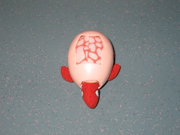 Speelgoed schildpad, Ophalen of Verzenden, Zo goed als nieuw, Overige typen