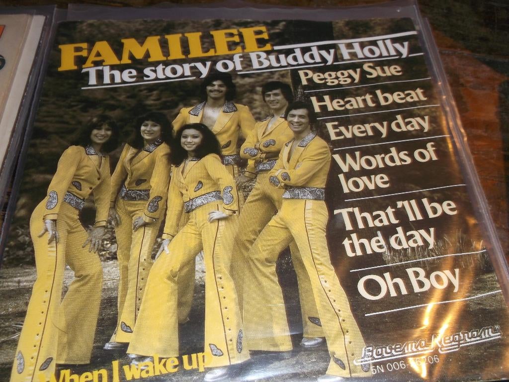familee The story of buddy holly 313, Gebruikt, 7 inch, Single, Ophalen of Verzenden