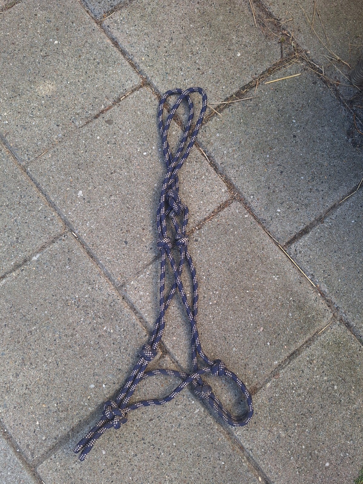 touw halster d pony, Ophalen of Verzenden