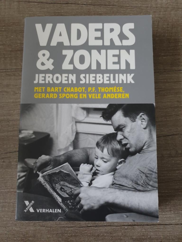 Vaders & Zonen - Jeroen Siebelink e.a. (Verhalen), Boeken, Ophalen of Verzenden, Gelezen, Jeroen Siebelink