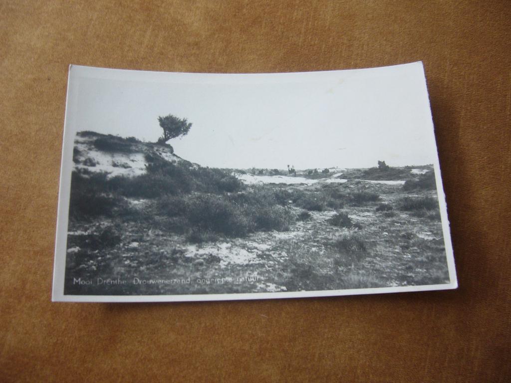 DROUWENERZAND  =  ONGEREPTE NATUUR   1948, Ophalen of Verzenden, 1940 tot 1960, Gelopen, Gelderland