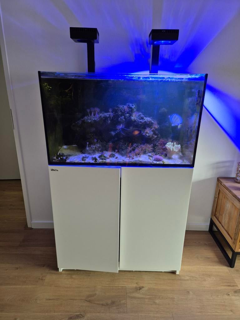 Red sea 250, Dieren en Toebehoren, Vissen | Aquaria en Toebehoren, Ophalen of Verzenden
