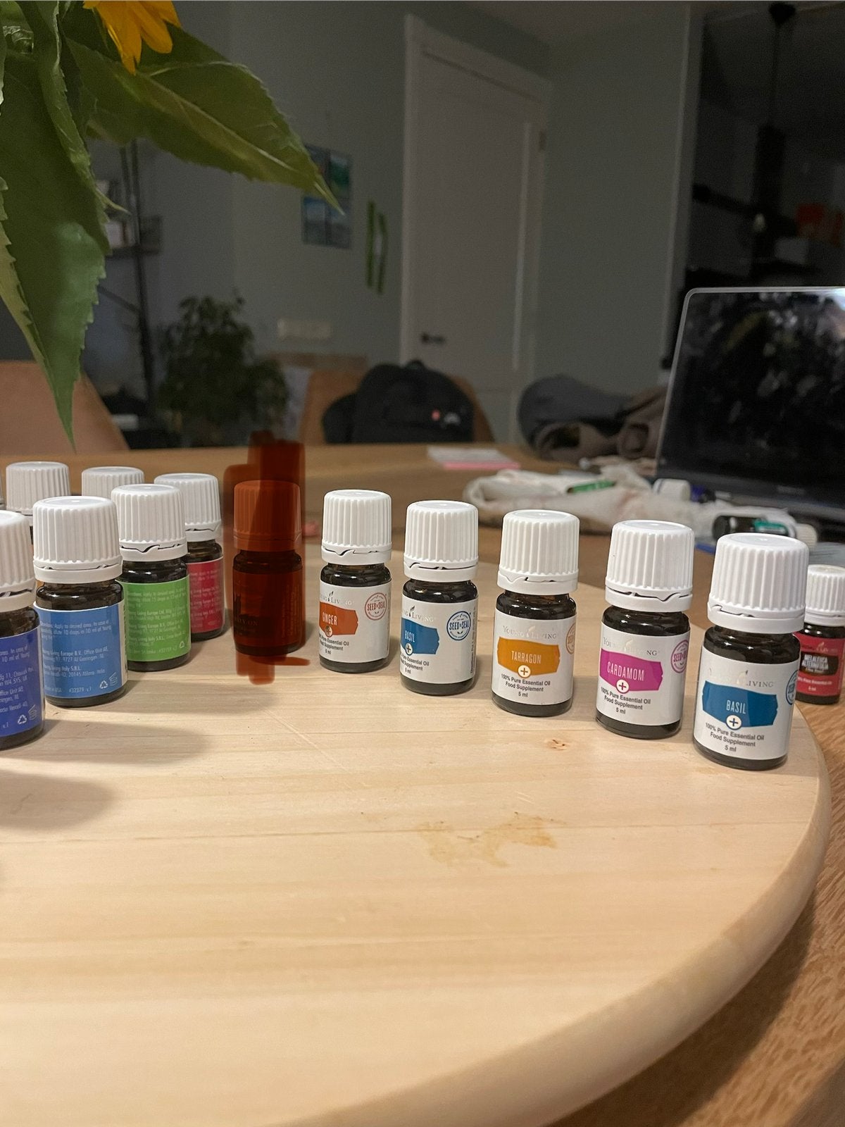Essentiële olie set young living 5ml, Sport en Fitness, Ophalen, Nieuw, Aroma
